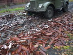 100_344911.jpg