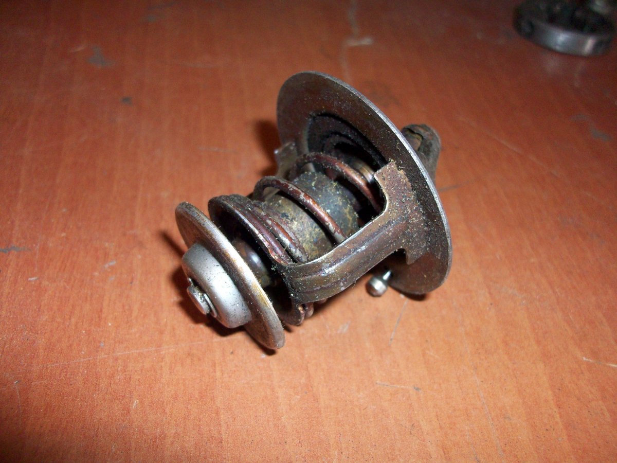 100_4545.JPG