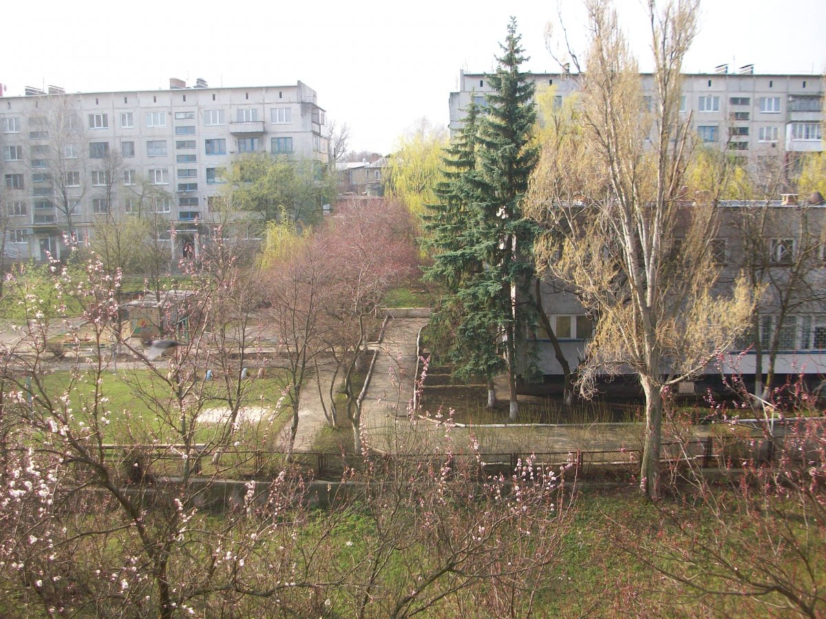 100_6666.jpg