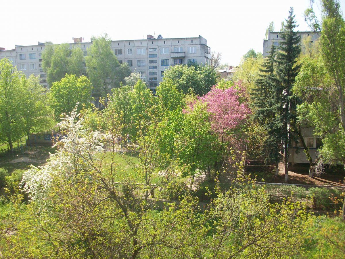 100_6701.jpg