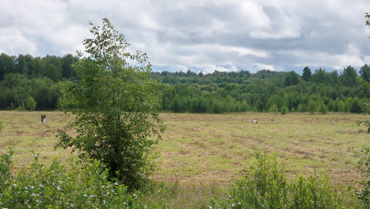 100_8017.JPG