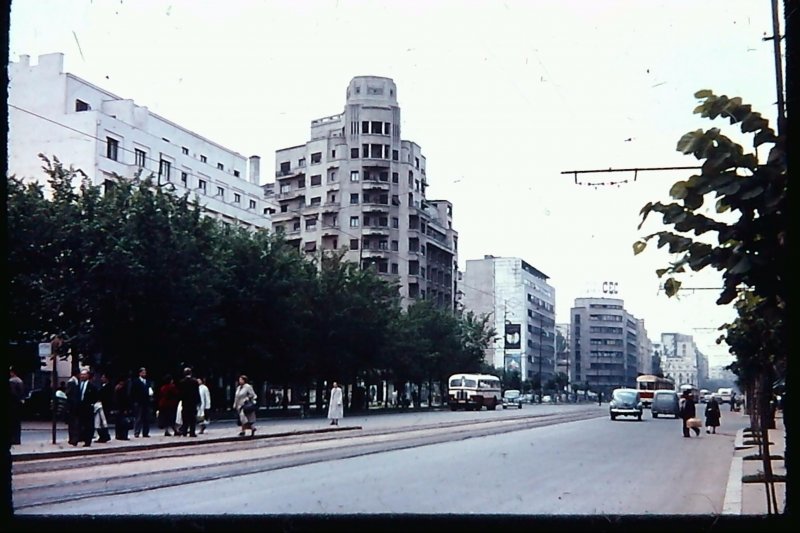 102.jpg