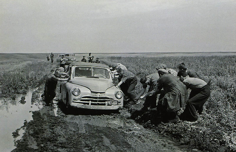 11181.jpg