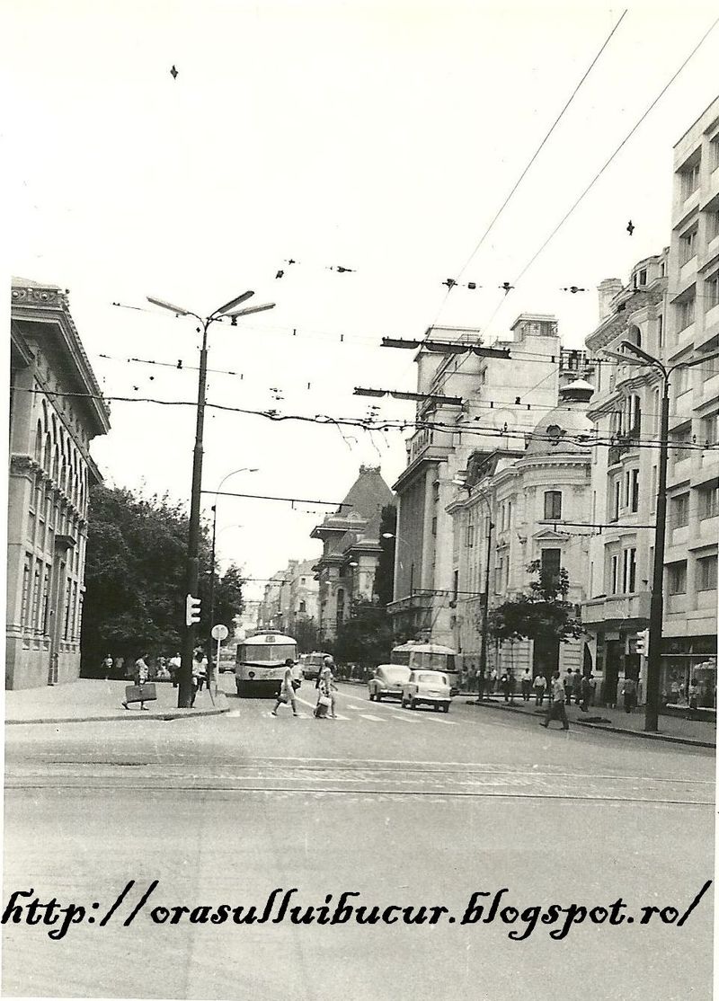 117.jpg