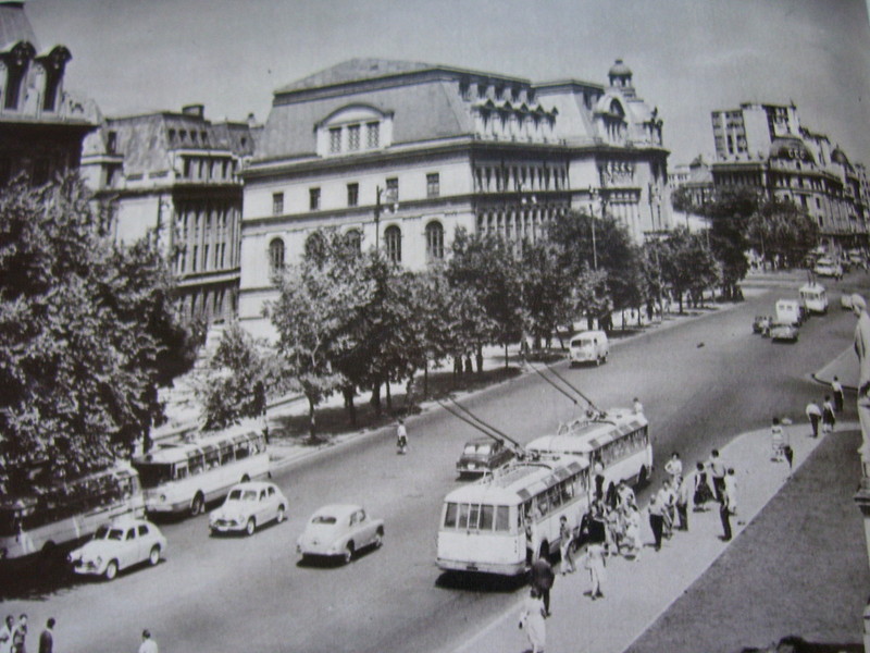 120.jpg