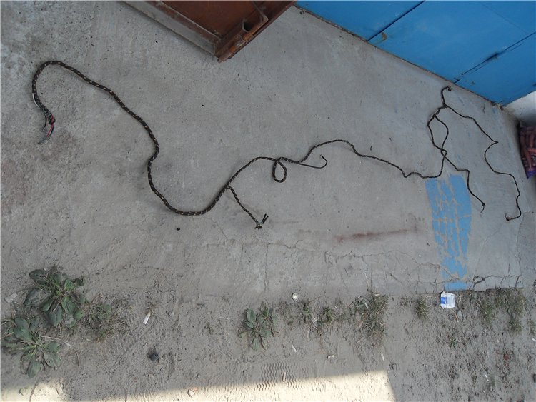126.jpg