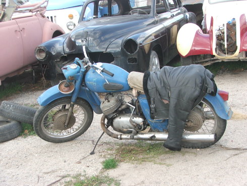 13.jpg