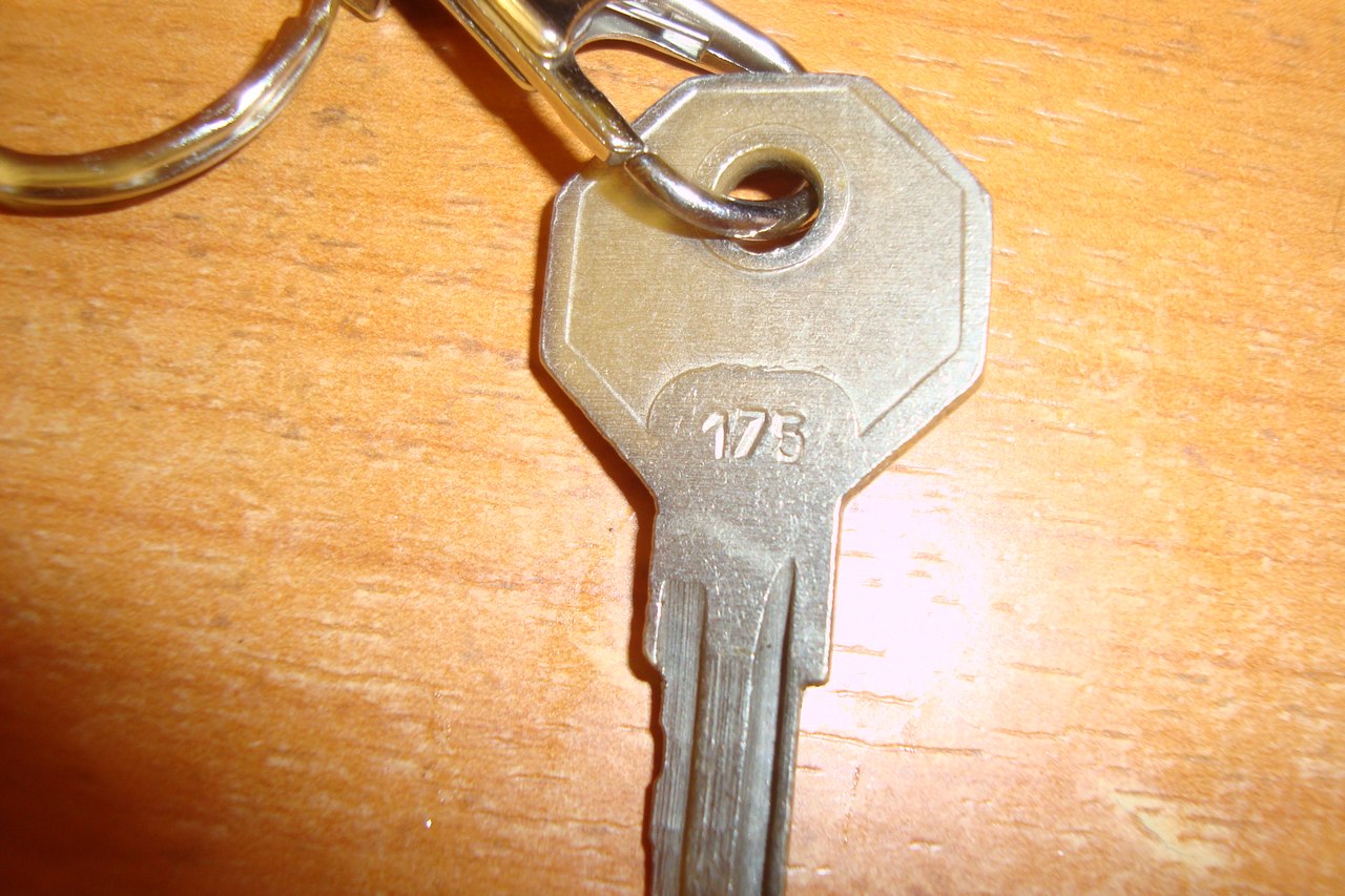175.jpg