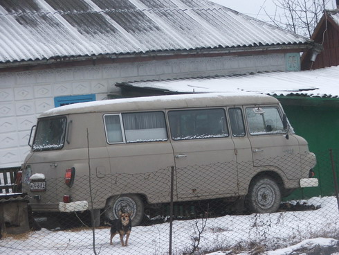 19.jpg