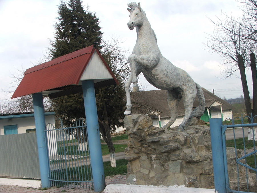 20.jpg