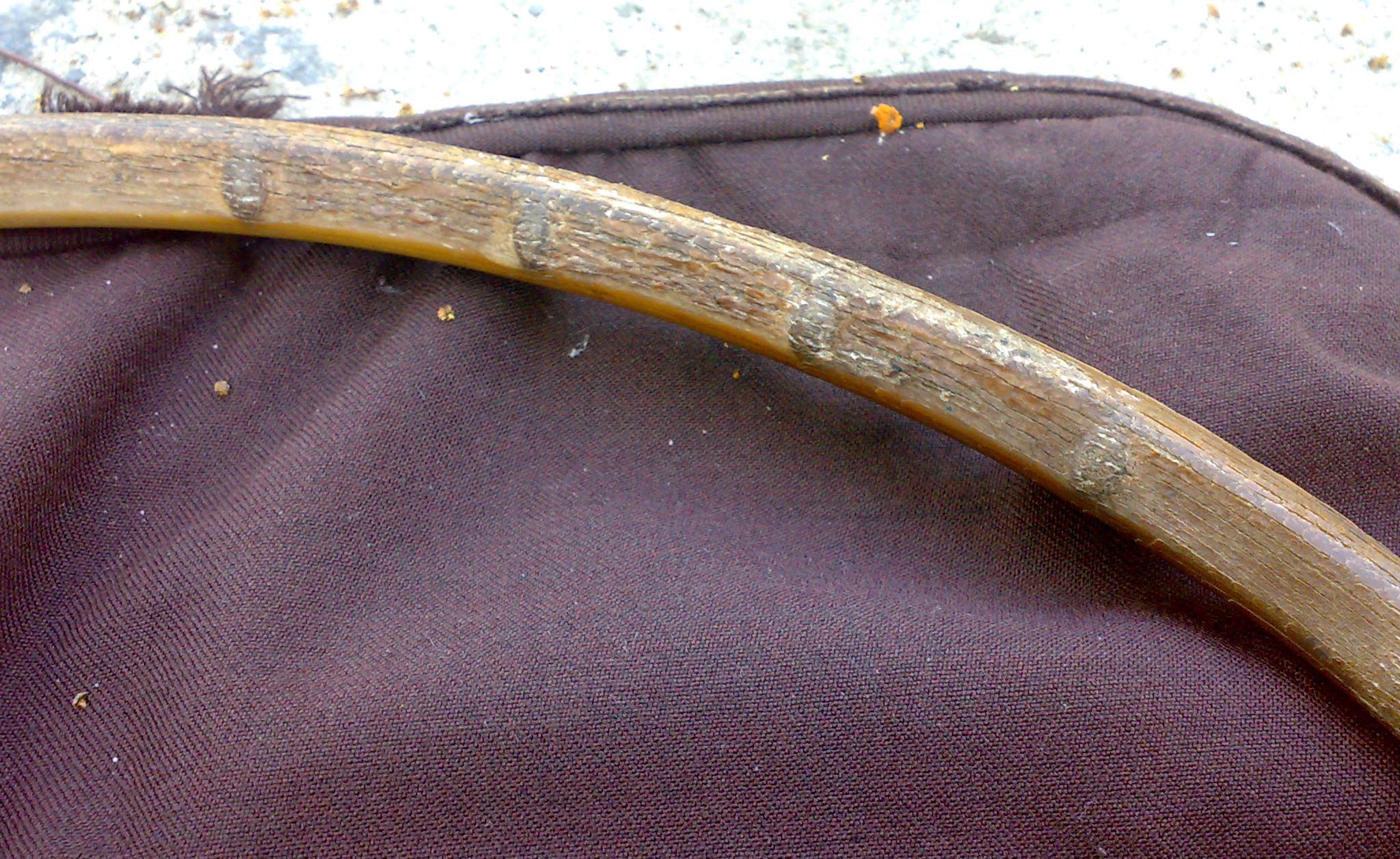 200520112484.jpg