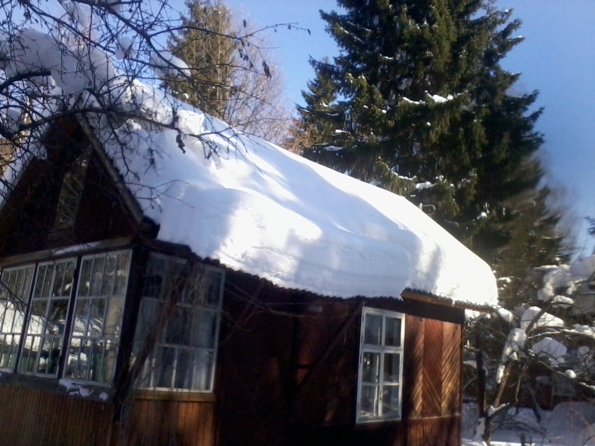 2011-01-04 20.41.07.jpg