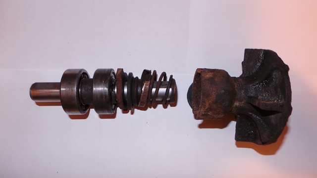 20120217_053114.JPG
