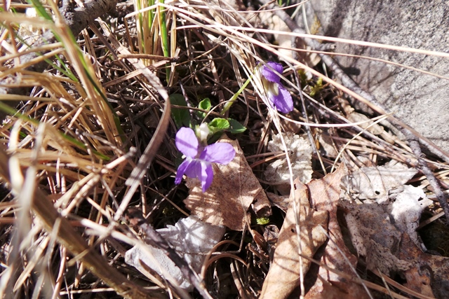 20120220_055450.JPG