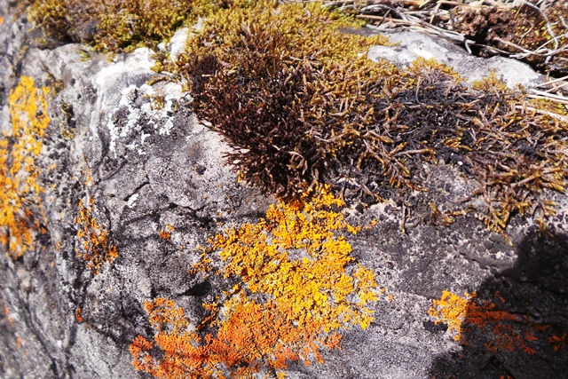 20120220_055501.JPG