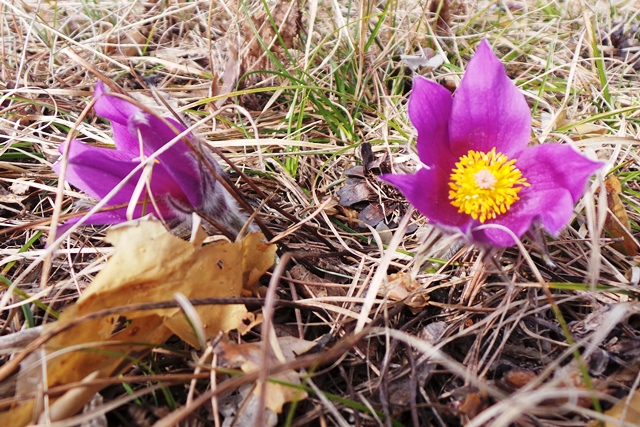 20120220_060315.JPG