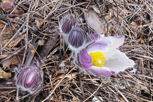 20120220_060418.JPG