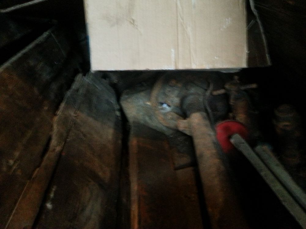 20131112_140835.jpg