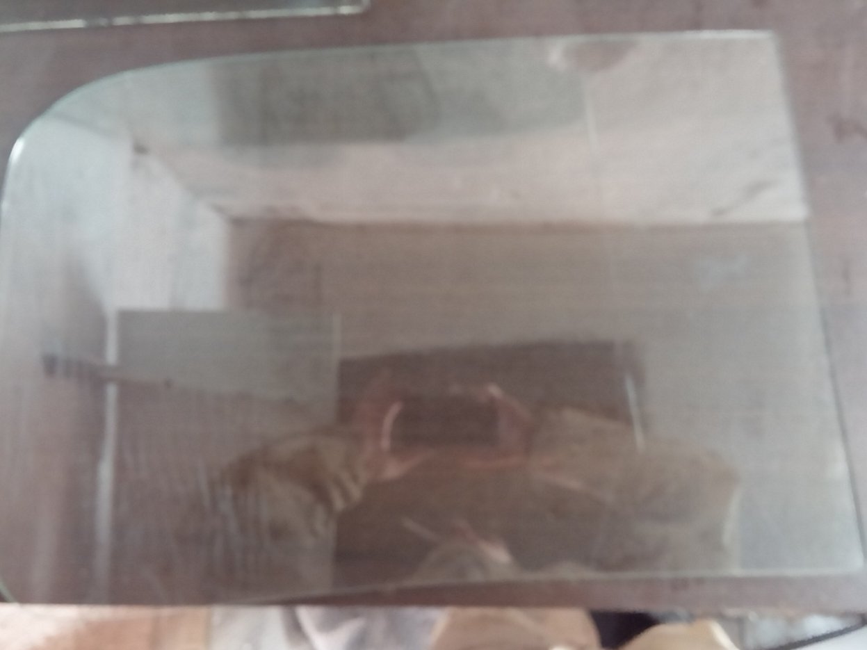 20140504_221422.jpg