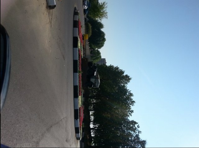 20140807_102514.jpg