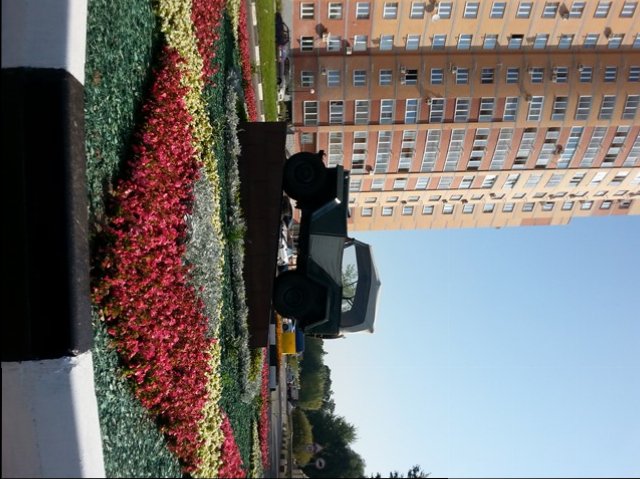 20140807_102524.jpg