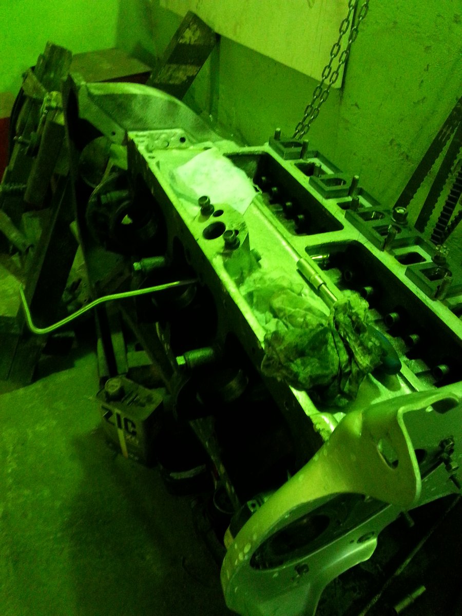 20150401_111009.jpg