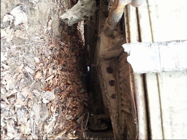 20150418_124152.jpg