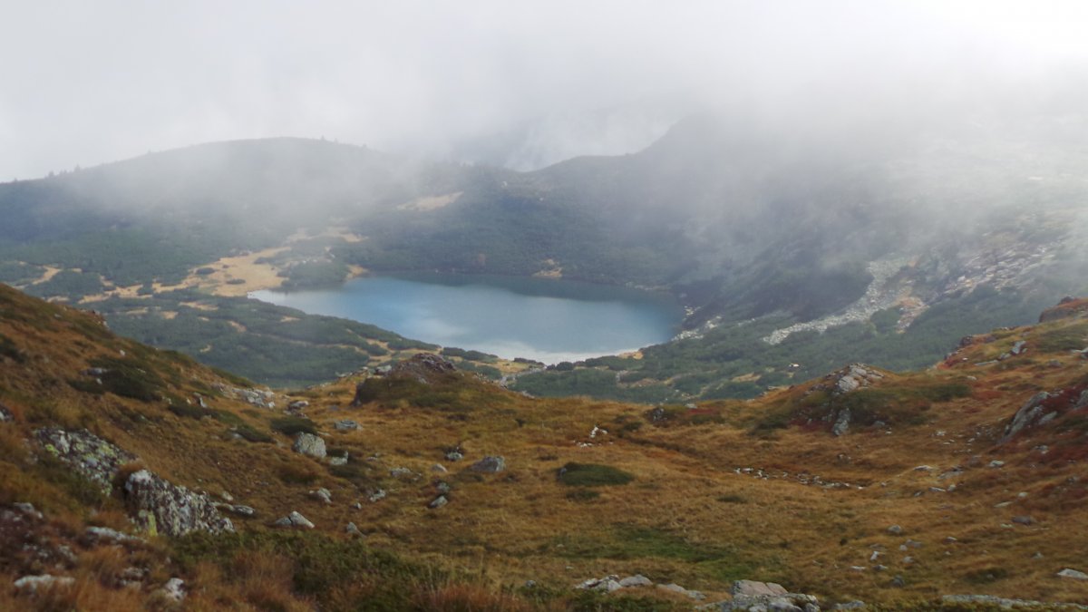 20160922_124135.JPG