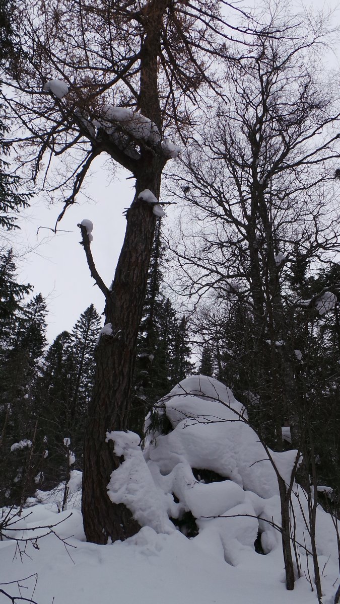20170225_123416.JPG