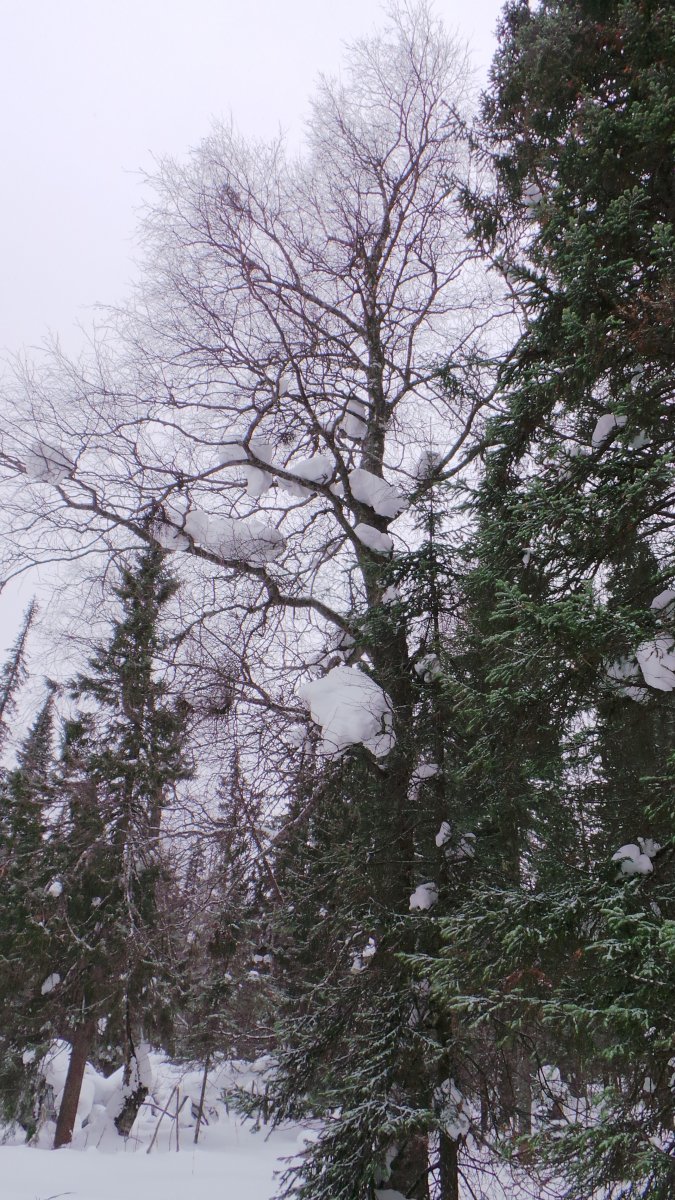 20170225_123656.JPG