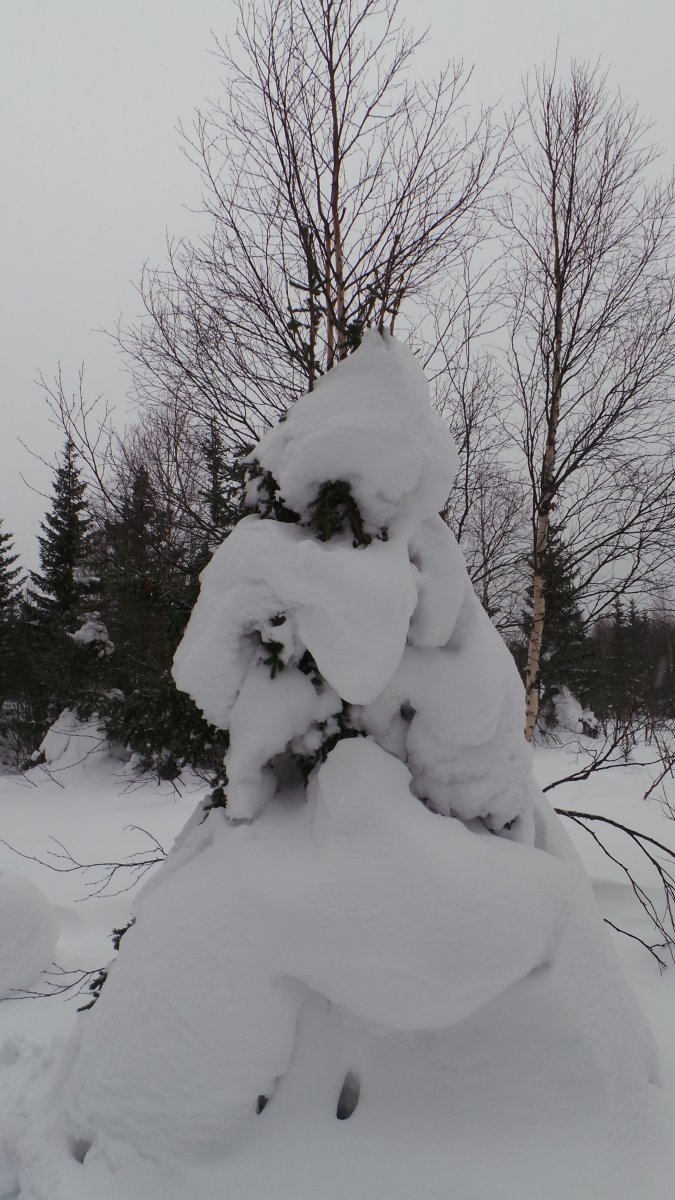 20170225_125908.JPG