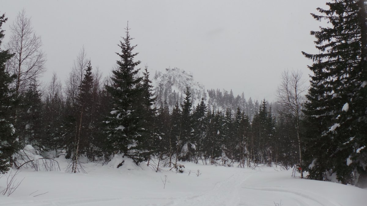 20170225_130021.JPG