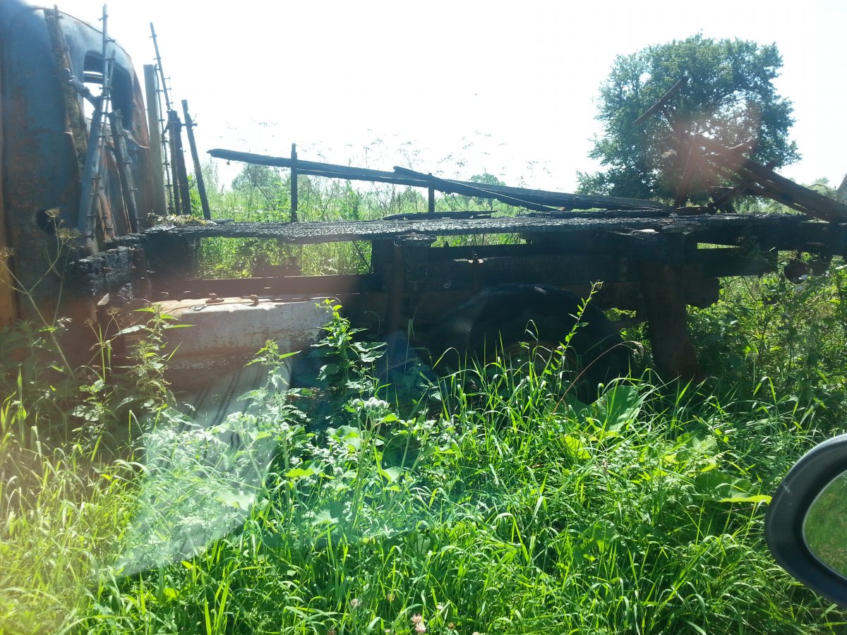 20170802_114534.jpg