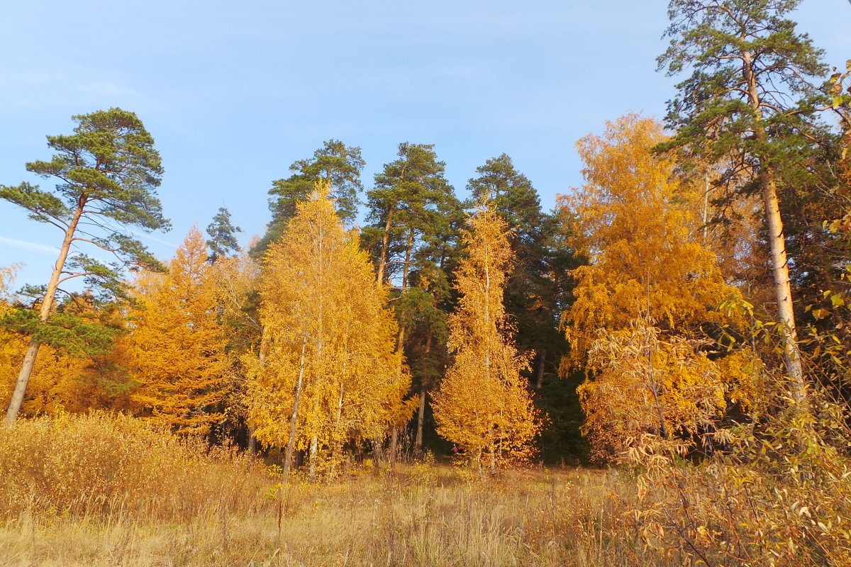 20171015_142857.JPG