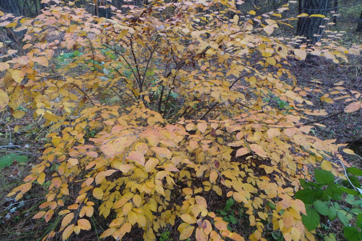 20171015_145142.JPG
