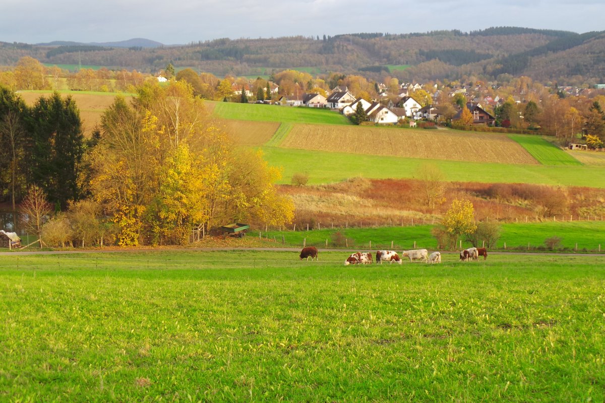 20171030_200438.JPG