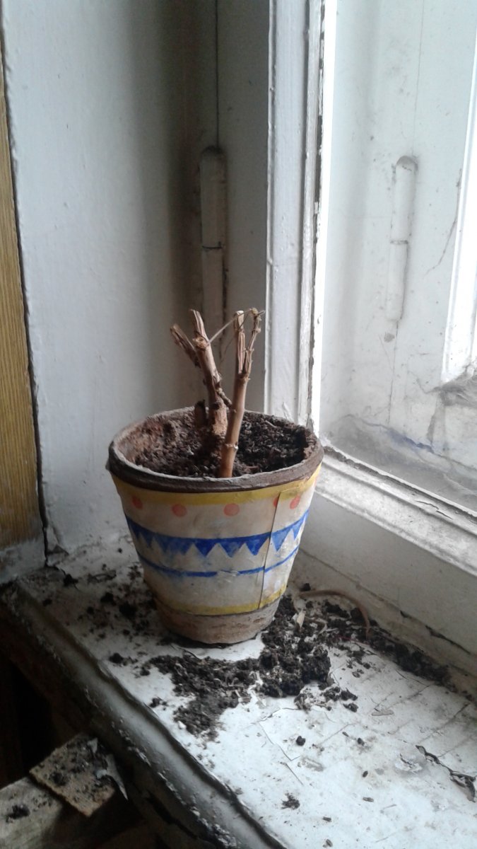 20171222_122439.jpg