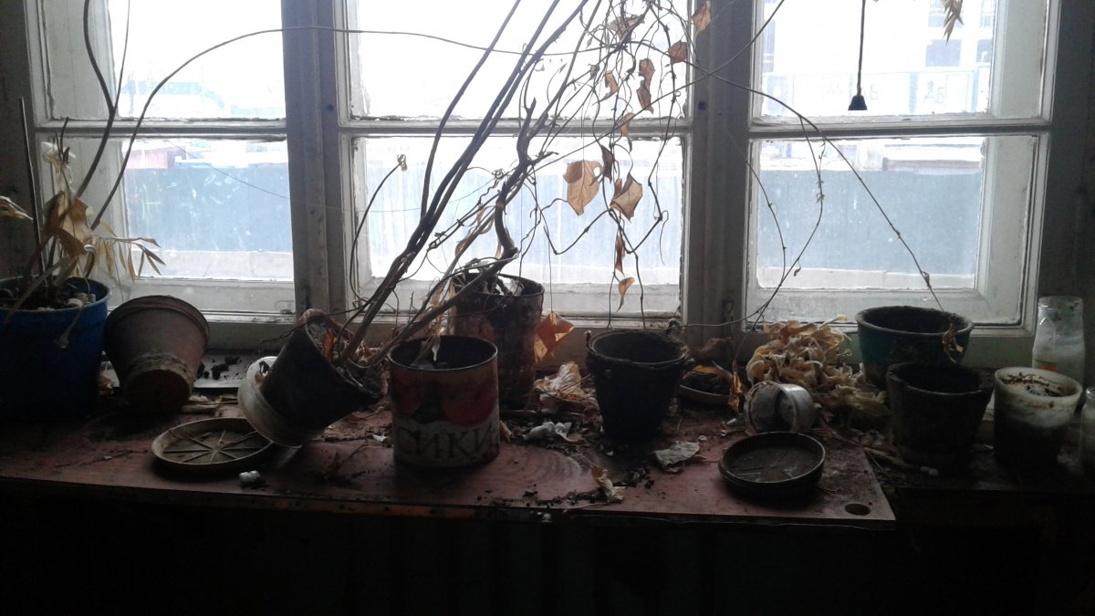 20171222_124409.jpg