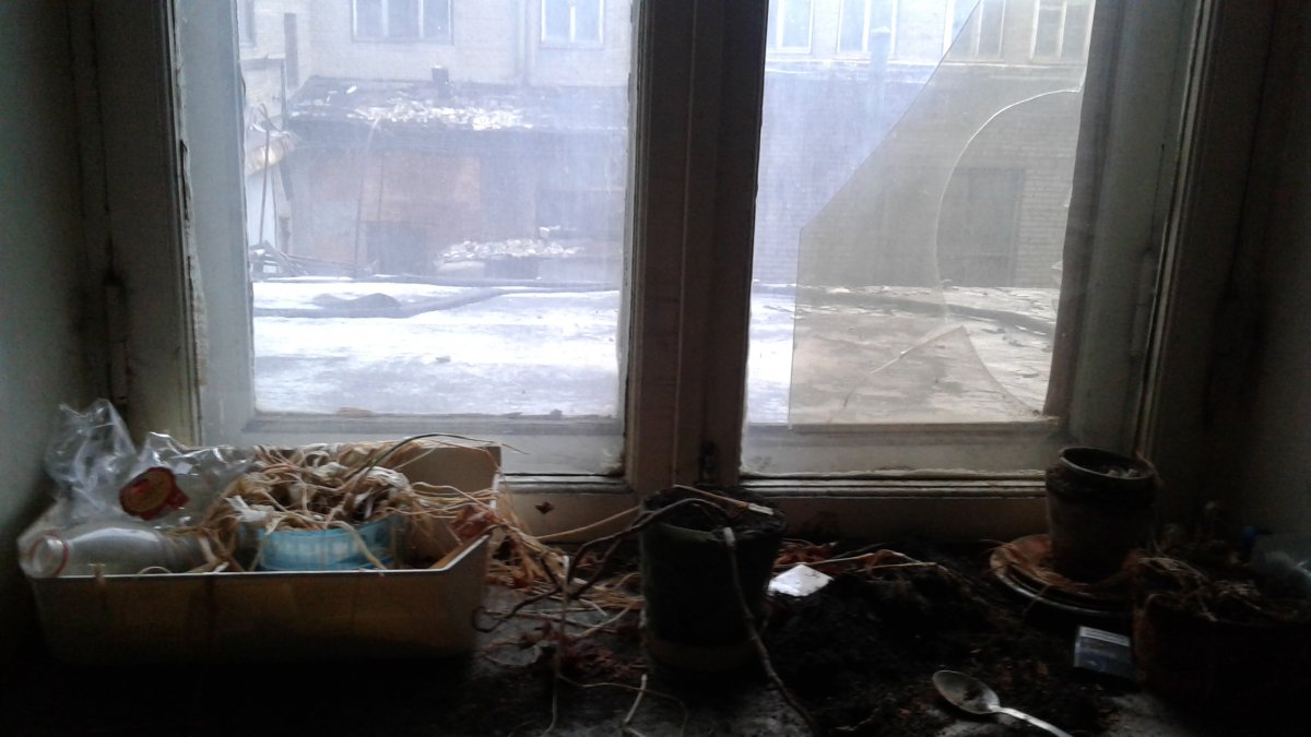 20171227_114530.jpg
