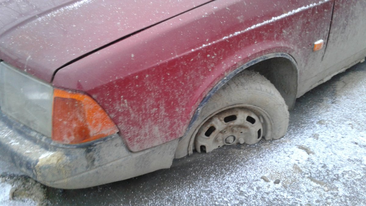 20180108_155333.jpg