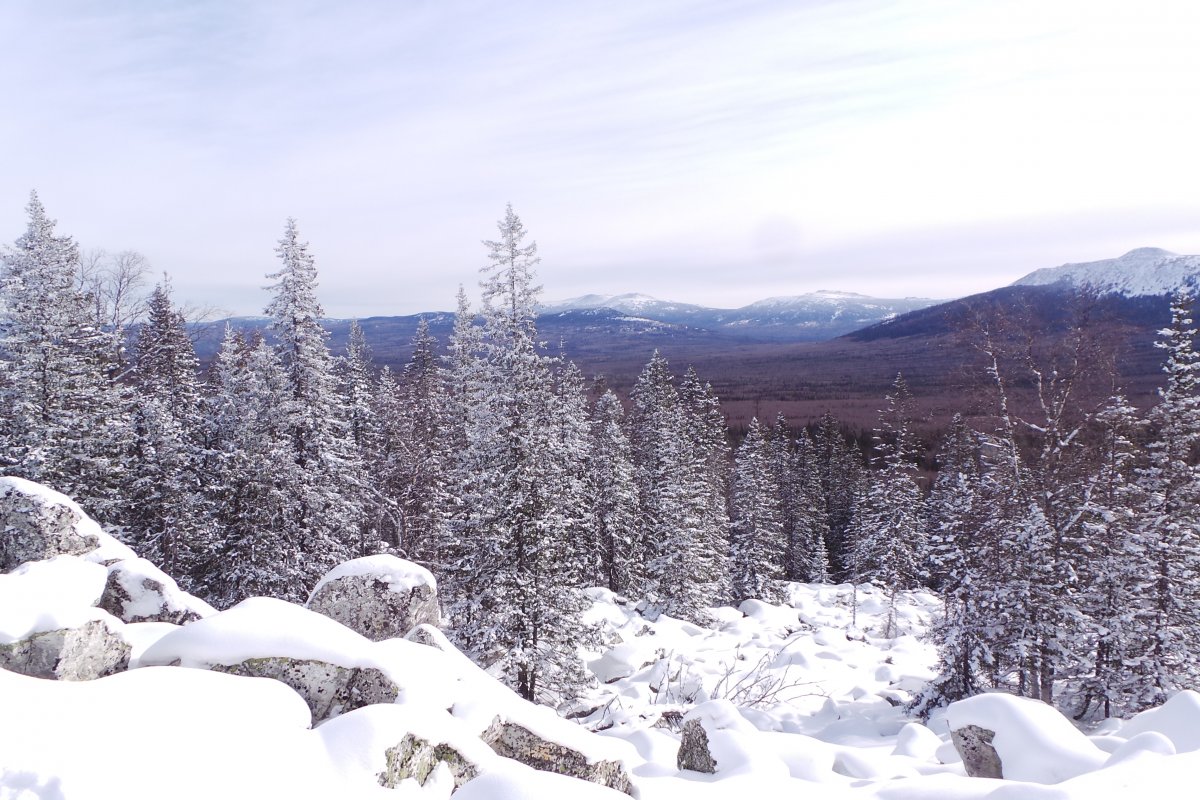20180225_123815.JPG