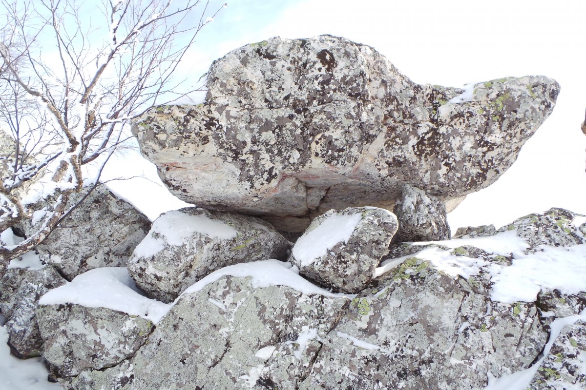 20180225_124133.JPG