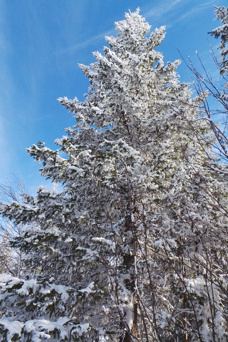 20180225_125411.JPG