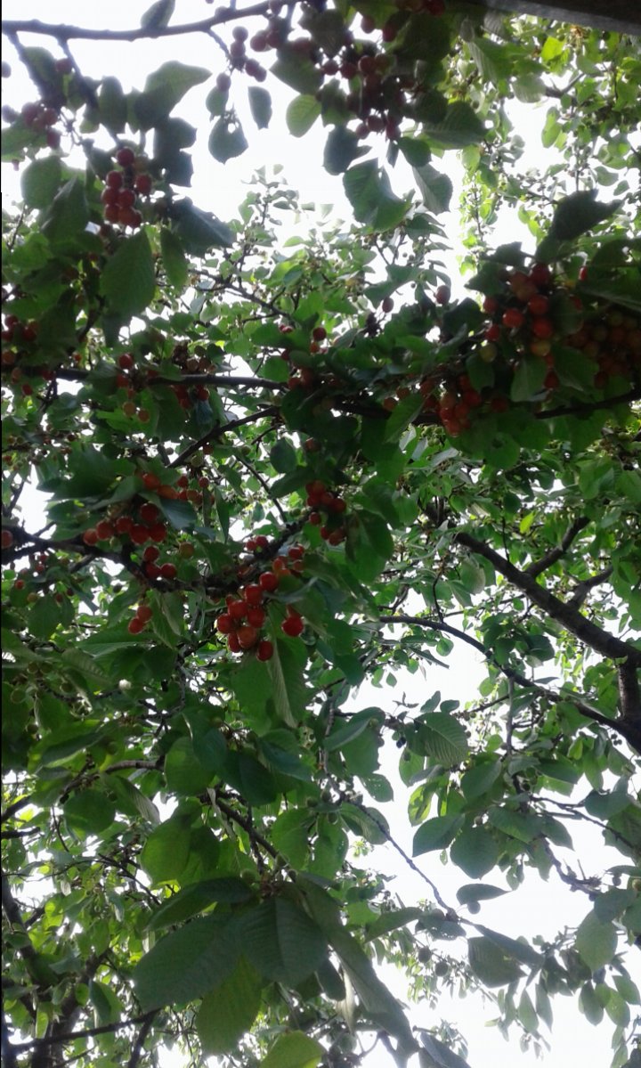 20180510_170258.jpg