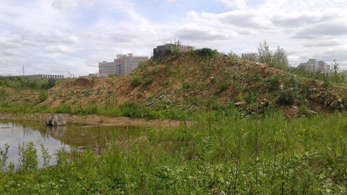 20180614_120310.jpg