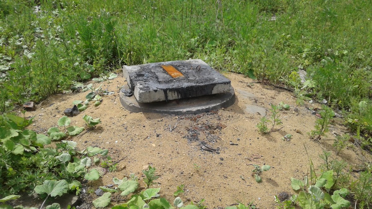 20180614_120607.jpg