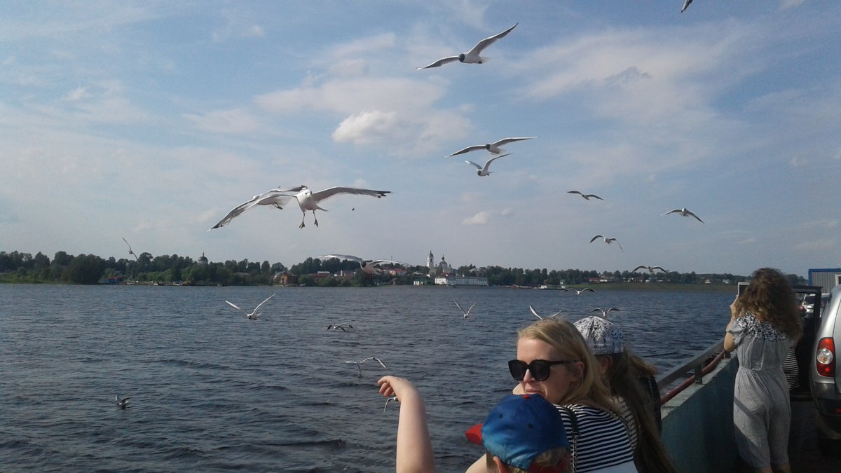 20180622_162750.jpg