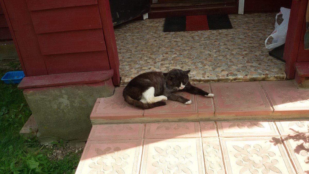 20180707_161709.jpg