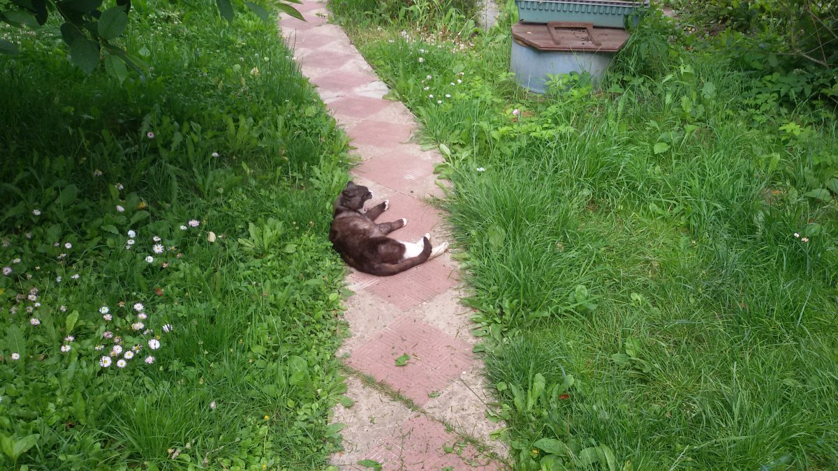 20180707_174151.jpg