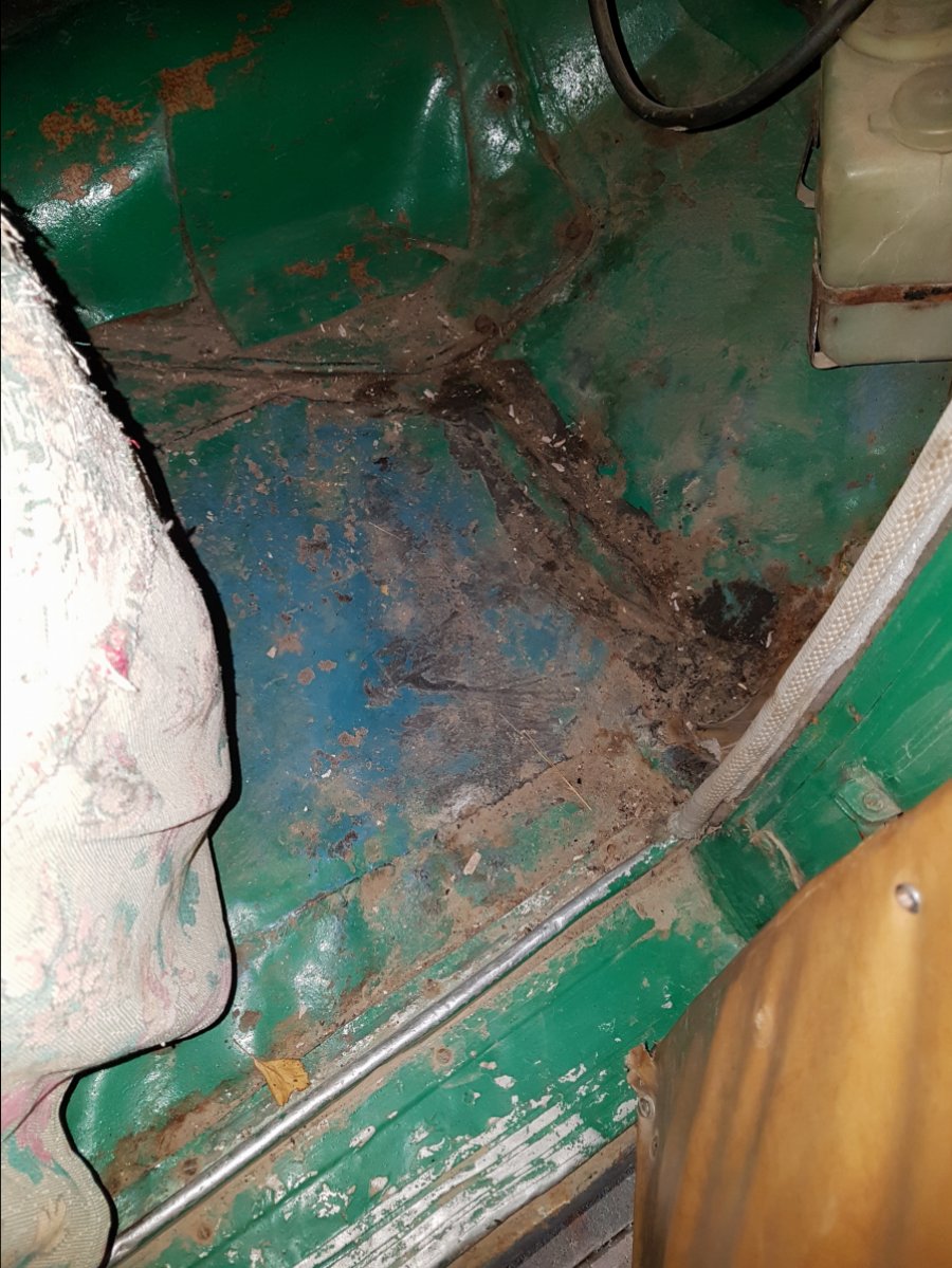 20180728_164246.jpg
